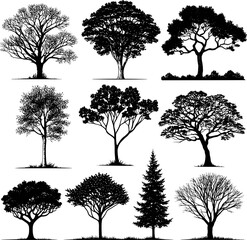 Black vector silhouette set of deciduous and coniferous trees, branches, and leaves for nature park illustration