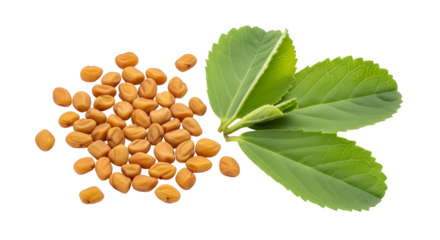 Heap of fenugreek seeds with green leaves, isolated on transparent background