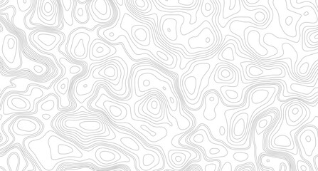 White topography topology vector white background, abstract diagram discovery topographic map banner texture background.