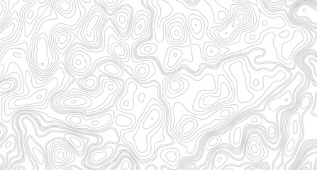 White topography topology vector white background, abstract diagram discovery topographic map banner texture background.
