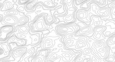 White topography topology vector white background, abstract diagram discovery topographic map banner texture background.
