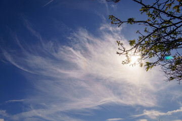 秋の空に輝く太陽と薄雲