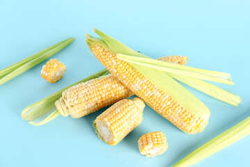 Fresh corn cobs on blue background