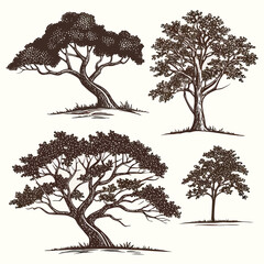 Four stylized brown trees with textured foliage nature