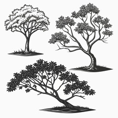 Three black and white tree illustrations in isometric perspective