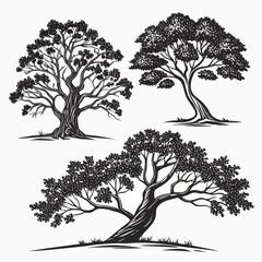 Three black and white vector trees with detailed foliage