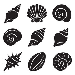 Seashells set vector