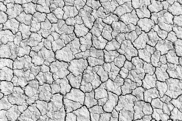 Cracked and dry ground backdrop,Seamless patterns dry ground cracked texture grey light top view background,Wall cracks. Flat for instant color change. Split terrain after earthquake.