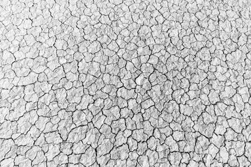 Cracked and dry ground backdrop,Seamless patterns dry ground cracked texture grey light top view background,Wall cracks. Flat for instant color change. Split terrain after earthquake.