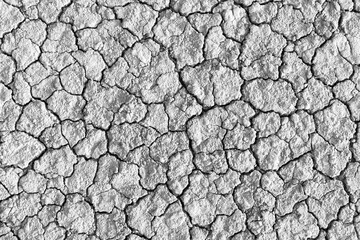 Cracked and dry ground backdrop,Seamless patterns dry ground cracked texture grey light top view background,Wall cracks. Flat for instant color change. Split terrain after earthquake.