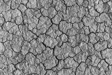 Cracked and dry ground backdrop,Seamless patterns dry ground cracked texture grey light top view background,Wall cracks. Flat for instant color change. Split terrain after earthquake.