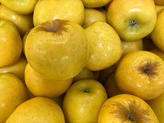 Background of yellow apples (Opal Sweet).