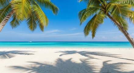Fototapeta premium Tropical beach paradise with palm trees clear blue sky and ocean view