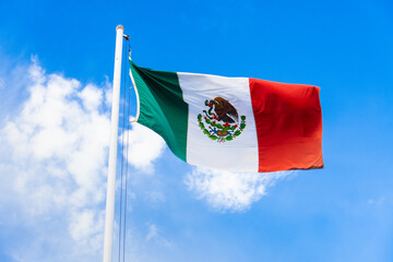 Flag of Mexico waving in the wind