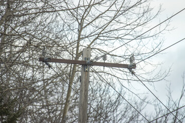 Power lines in the autumn forest