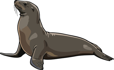 Cute lion seal sea creature vector cartoon illustration © vector