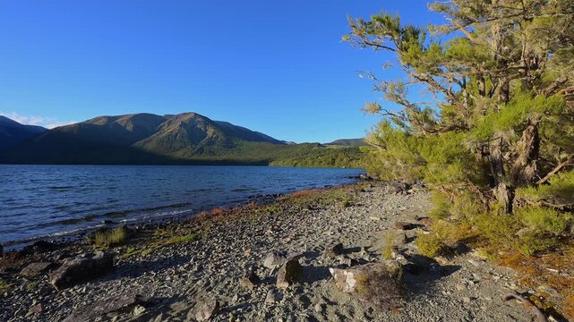 Ufer, felsig, B&auml;umen, Seeglitzert, klarer, Himmel, Bergen, Sommer, Lake Rotoiti, Saint Arnaud, Tasman Region, S&uuml;dinsel, Neuseeland, Ozeanien