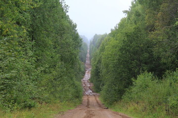 Obraz premium An old dirt road in the forests of northeastern Europe after rain