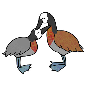 A pair of Dendrocygna viduata