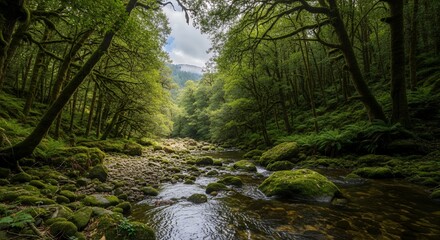 Serene Forest Stream Scene with Green Trees Mossy Rocks and Flowing Water in Nature Setting