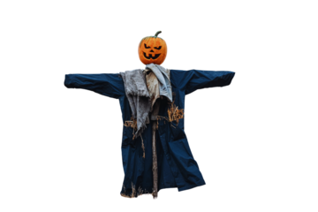 Spooky Scarecrow with a Pumpkin Head Dressed in Rags, Perfect for Autumn and Halloween Decorations