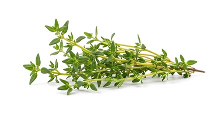 Obraz premium Fresh Thyme Sprigs on White Background.