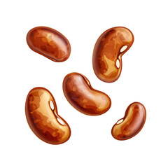 Fototapeta premium Five realistic kidney beans with rich brown color isolated on transparent background