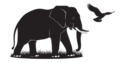 Elephant and bird silhouette on white background