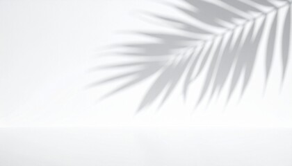 Palm leaf shadow on white background, tropical plant silhouette, summer minimal aesthetic, product display backdrop, natural light effect, abstract organic pattern