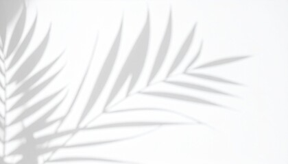 Palm leaf shadow on white background, natural light and minimalist aesthetic for product display, overlay, or abstract design.