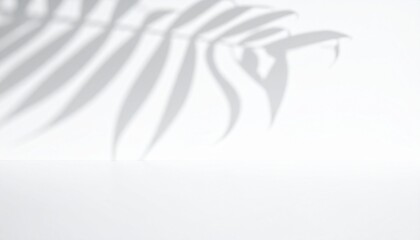 Abstract background with palm leaf shadow on white wall and floor, natural light effect for product display or cosmetic showcase