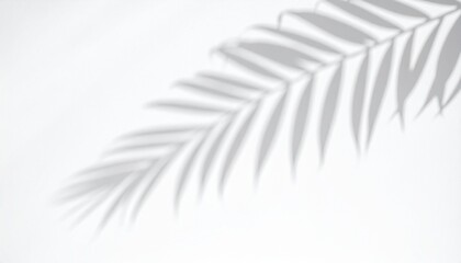 Palm leaf shadow on white background, aesthetic tropical plant silhouette, natural light overlay for product display, minimalist summer design element