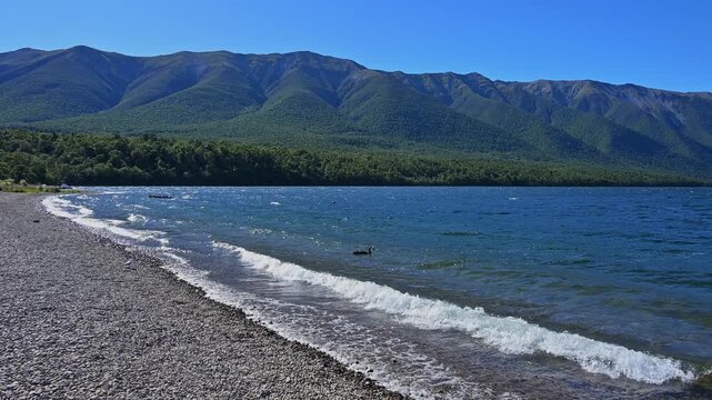 Wellen, kiesig, Ufer, Berge, blau, Himmel, Sommer, Lake Rotoiti, Saint Arnaud, Tasman Region, S&uuml;dinsel, Neuseeland, Ozeanien