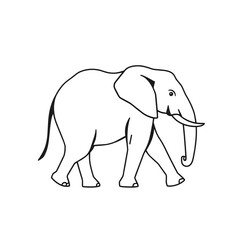 Fototapeta premium elephant vector illustration
