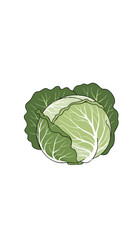 Fototapeta premium Simple green shapes, possibly flora, at the bottom of a white background