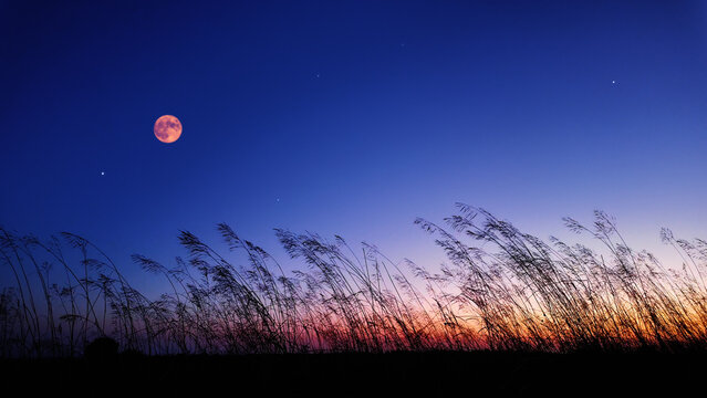 Full Moon with stars, planets and rural countryside tree silhouettes.