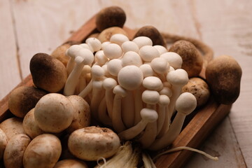 assorted of mushroom, enokitake, white shimeji, Agaricus bisporus mushroom, straw mushroom. (Volvariella volvacea
