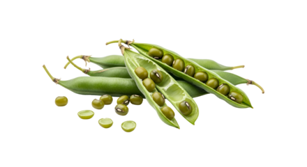 Mung bean pods with seeds isolated on transparent background