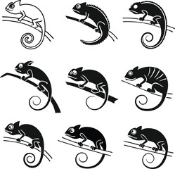Obraz premium Charming chameleon collection, perfect for nature lovers and wildlife enthusiasts, ideal for educational projects and creative designs, a versatile asset