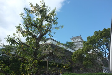 【兵庫】姫路城天守