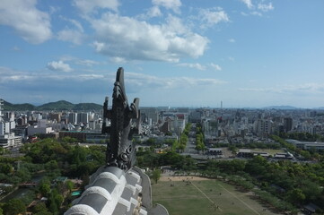 【兵庫】姫路城天守の中から見た鯱