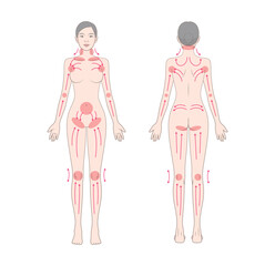 Vector illustration of female lymphatic circulation system showing massage flow and drainage directions