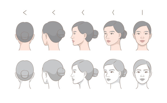 Female Face Angle Reference Sheet, Character Turnaround with Bun Hairstyle_front, side, three quarter, and back views