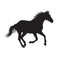 Horse silhouette isolated on white background