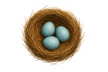 Bird's nest holding three robins eggs, symbolizing new life, spring, nature, and growth on transparent background