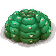Illustration of a Green Barrel Cactus with Spines and a Subtle Shadow on a Transparent Background