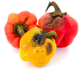 Rotten red and yellow bell peppers isolated on white background