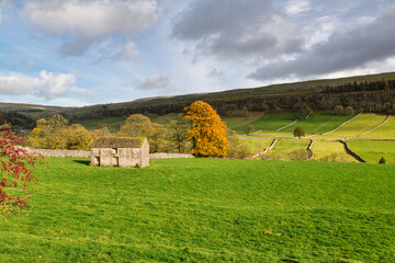 The Yorkshire Dales in Autumn.