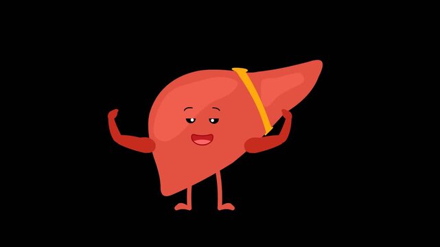 Healthy liver concept animation 