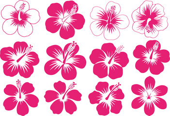 Collection of vibrant pink hibiscus flowers in various artistic styles